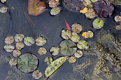 《Phantom Ten》登陆Steam 类8番出口房间历险